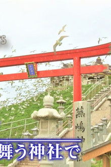 Aomori, Hachinohe, at a shrine where a sea lion dances