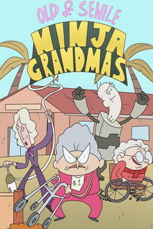 Old & Senile: Ninja Grandmas poster