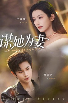 谋她为妻 poster