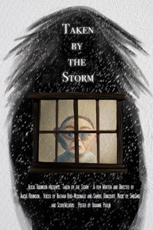 Taken by the Storm poster