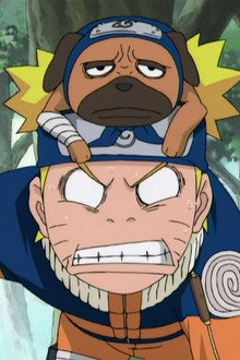 A New Squad! Two People and a Dog?!