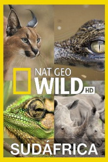 Wild South Africa poster