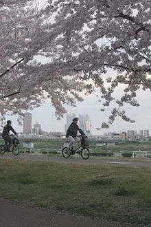 Following the Cherry Blossoms Upstream: A Three-Day Trip Along the Tama River