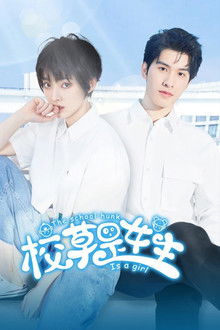 The School Hunk is a Girl poster