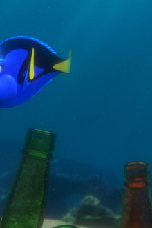 Dory Finding