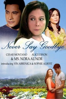 Never Say Goodbye poster