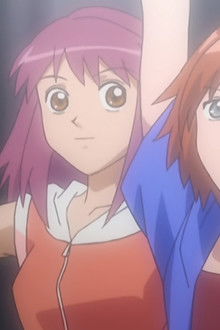 The Amazing Newcomer