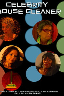 Celebrity House Cleaner poster