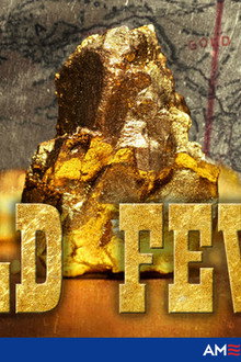 Gold Fever
