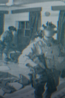 Special Forces: I Saw War Crimes