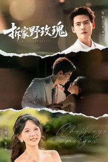 拆家野玫瑰 poster