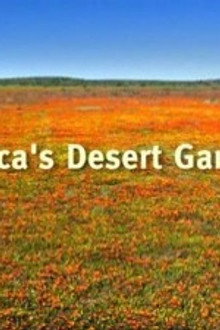 Africa's Desert Garden