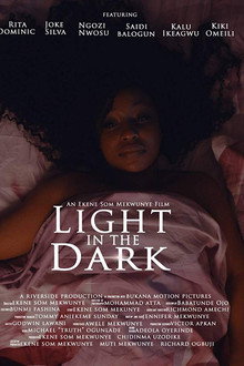 Light in the Dark poster