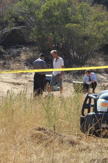 The Body In The Cornfield