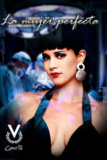 La mujer perfecta poster