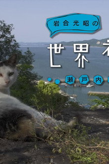Seto Inland Sea