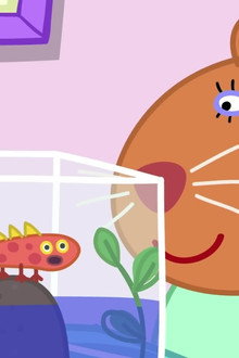 A Day with Doctor Hamster