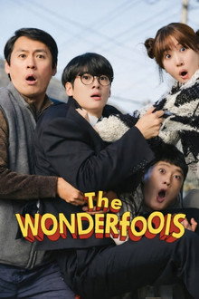 The WONDERfools poster