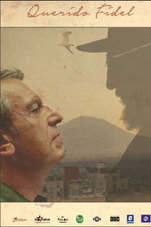 Querido Fidel poster