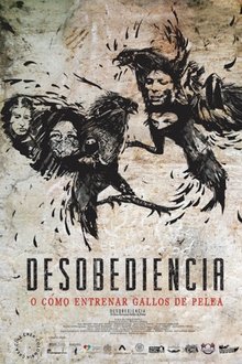 Disobedience or How to Train Fighting Roosters