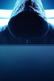 Fighting Cyber Criminals