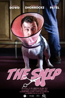 The Snip poster