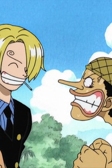 Everyone's Gathered! Usopp Speaks the Truth About Nami!