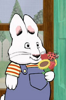Max's Bug Salad