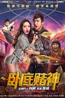 The Undercover Hero poster