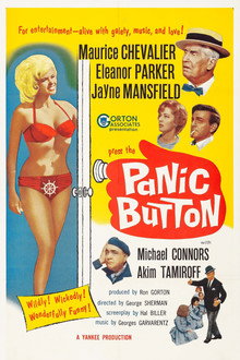 Panic Button poster