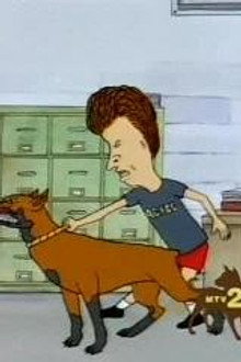 Bad Dog