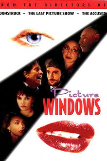 Picture Windows poster