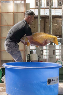 Nagaoka: Water, the Wellspring of Abundance