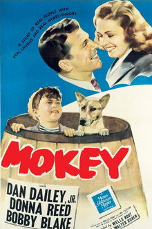Mokey poster