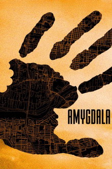 Amygdala poster