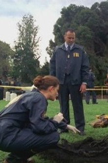 The Soldier on the Grave