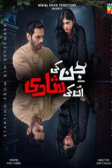 Jinn Ki Shadi Un Ki Shadi poster