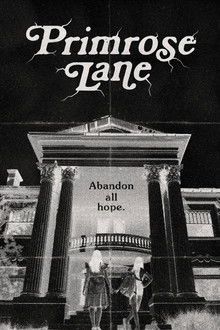 Primrose Lane poster