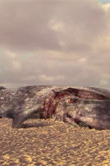 A Divorce to Remember