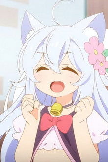 Super (Energy) Potion / Landenflower Tea / Botanical Deodorant