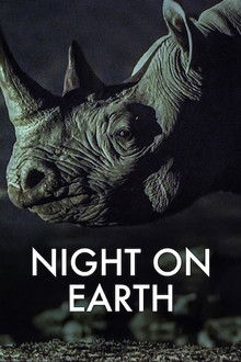 Night on Earth poster