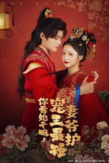 你惹她干嘛，宠妻王爷最护短 poster