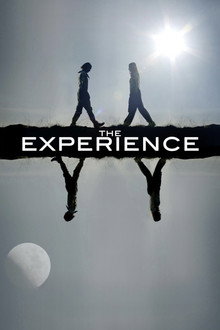 The Experience poster