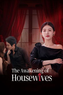 The Awakening of Housewives poster