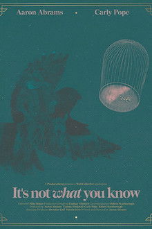 It's Not What You Know poster