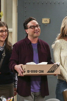 The Cohabitation Experimentation