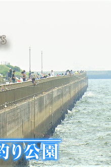 Tokyo Bay Midsummer Sea Fishing Park