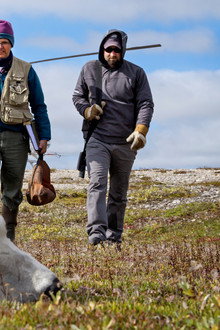 Living with Predators (Conservation)