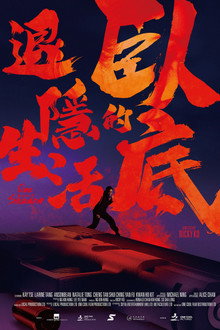 Out of the Shadow poster