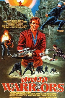 Ninja Warriors poster